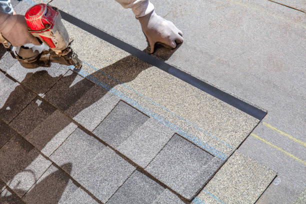 Best Flat Roof Repair Services  in Faribault, MN